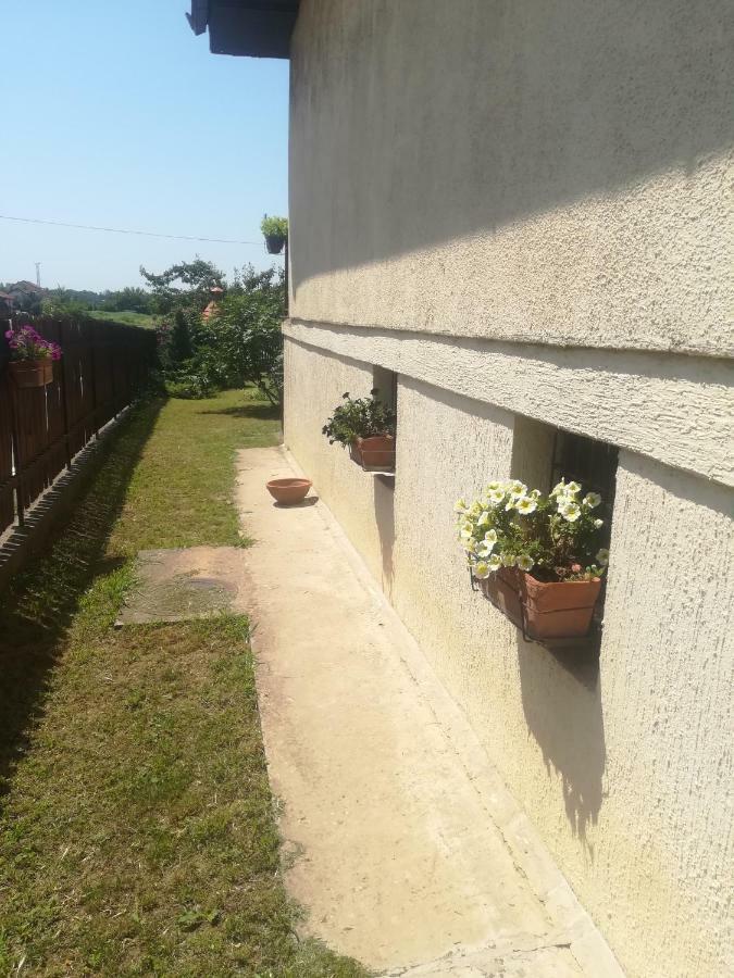 Anejo Apartment Bělehrad Exteriér fotografie